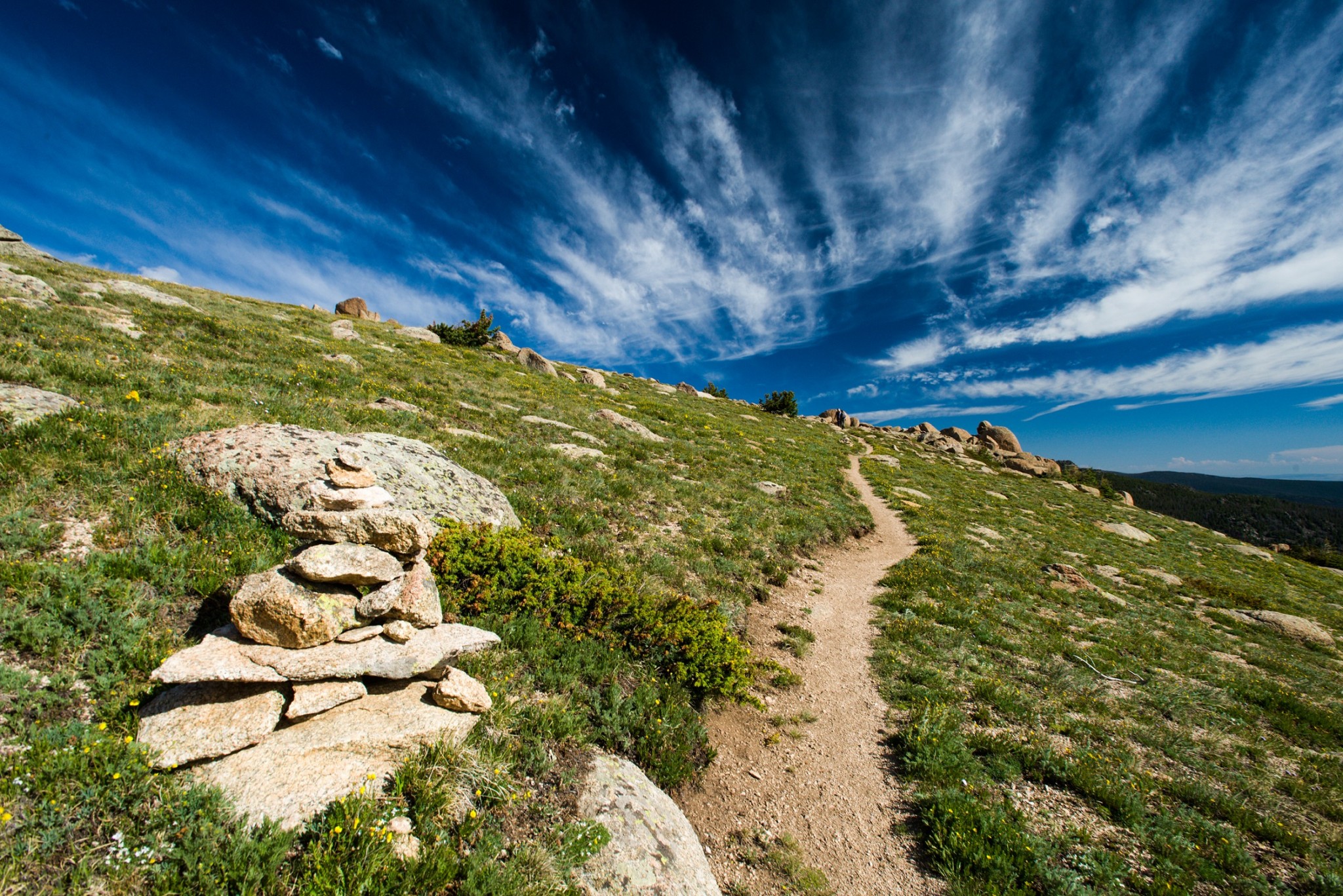 A trail at the CSU Mountain Campus