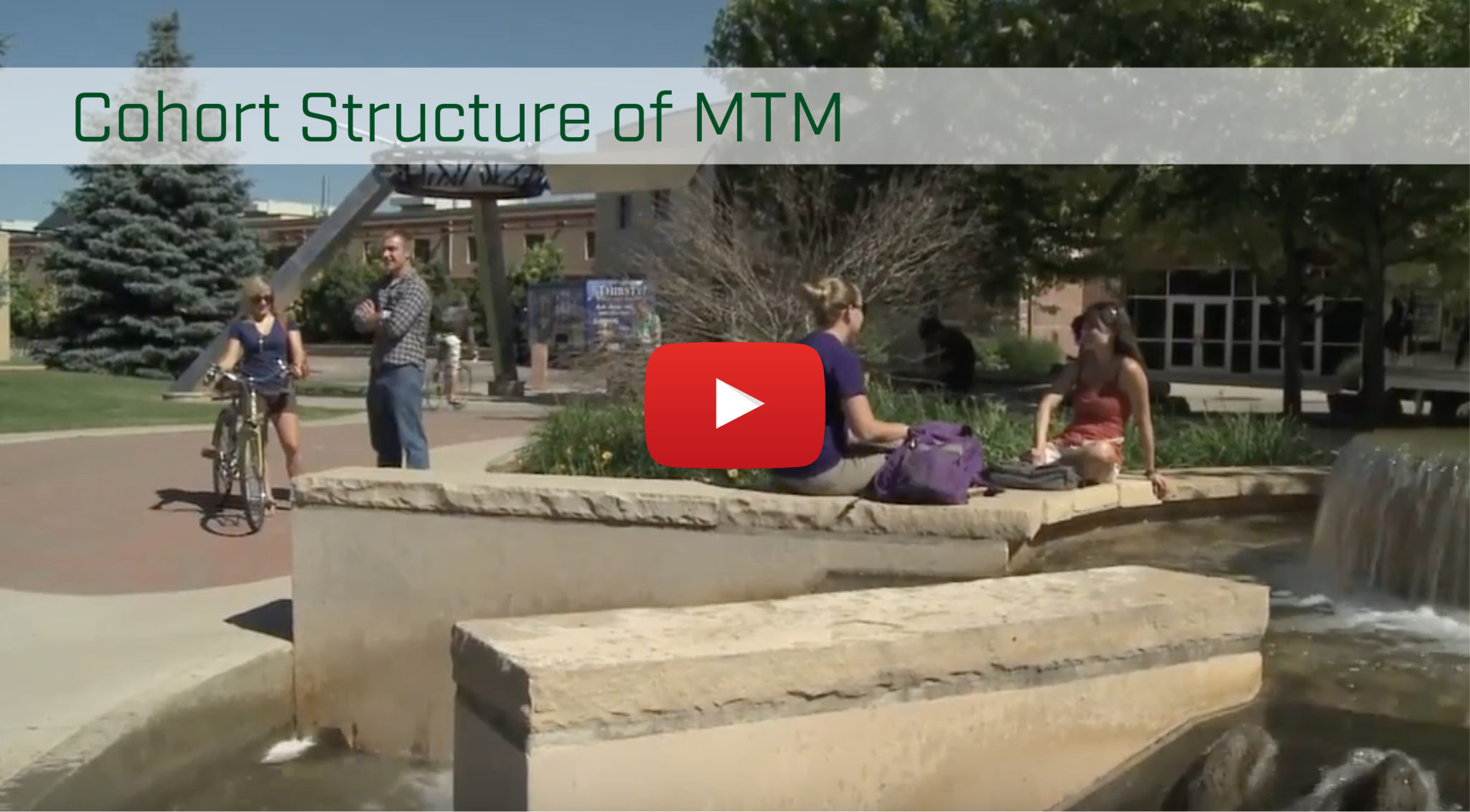 Cohort structure of MTM