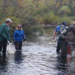 CSU students in river with nets