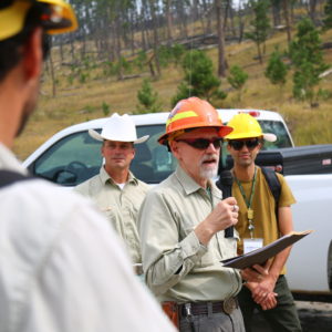 A group of workers beside a forest