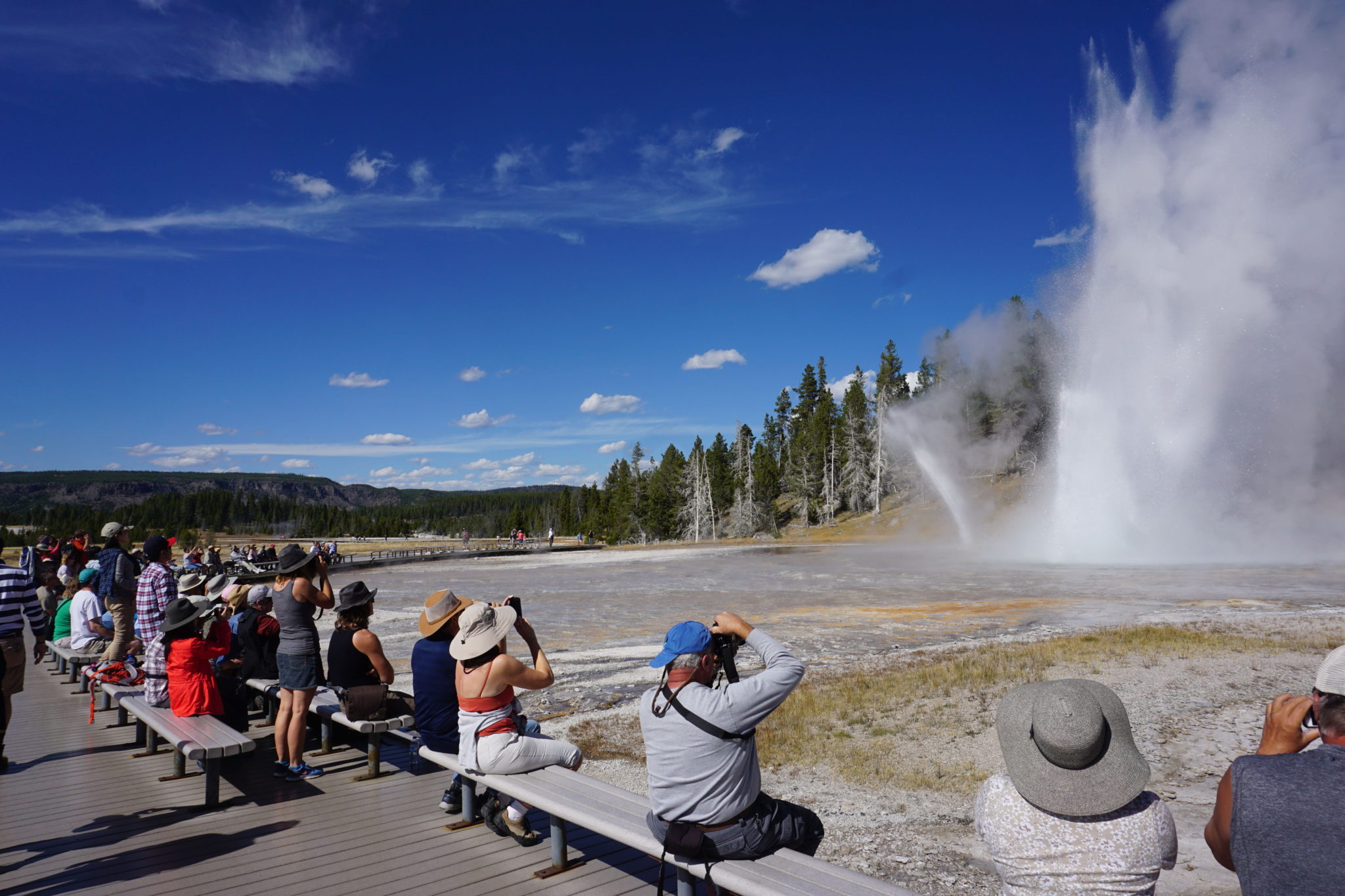 a group of people looking at a geyser