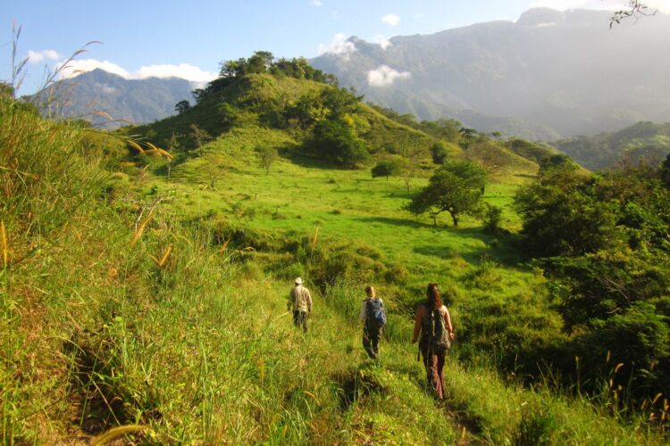 three people hiking on a grassy mountain