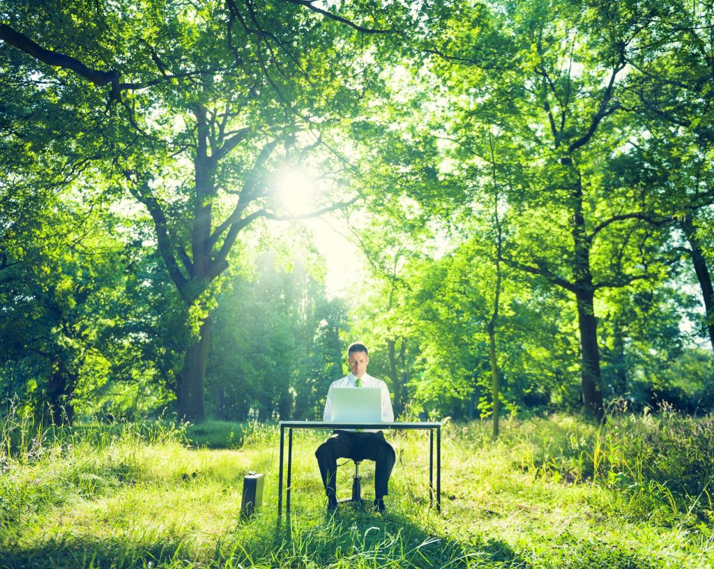 man at desk in forest