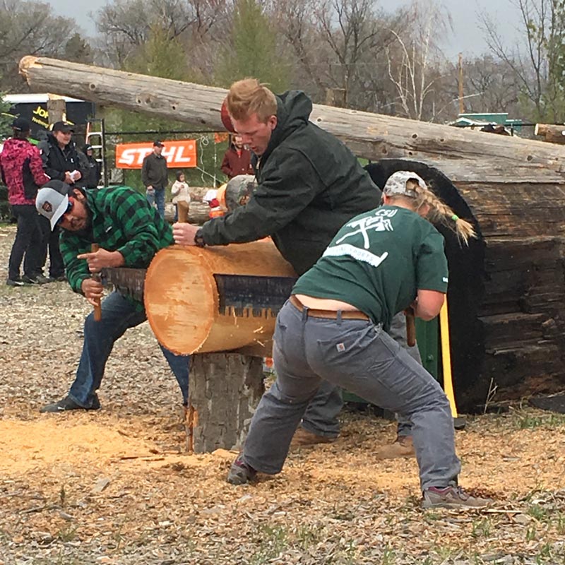 CSU students cross cut a log