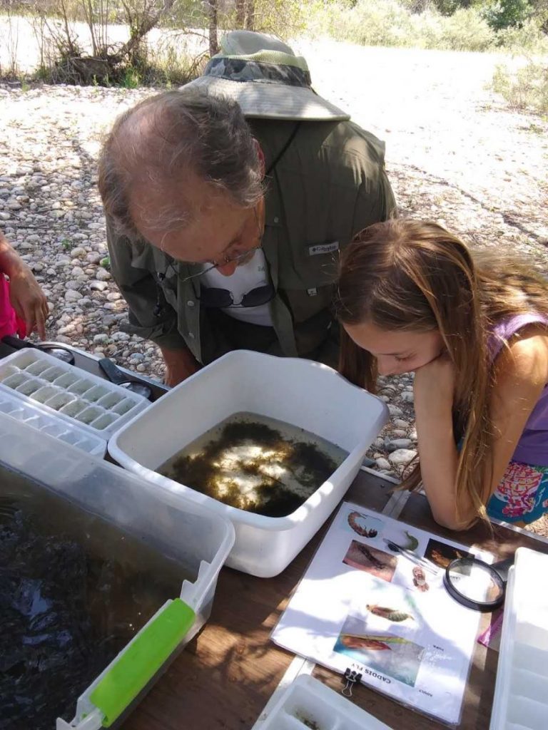Child and adult search for insects in a tub of water