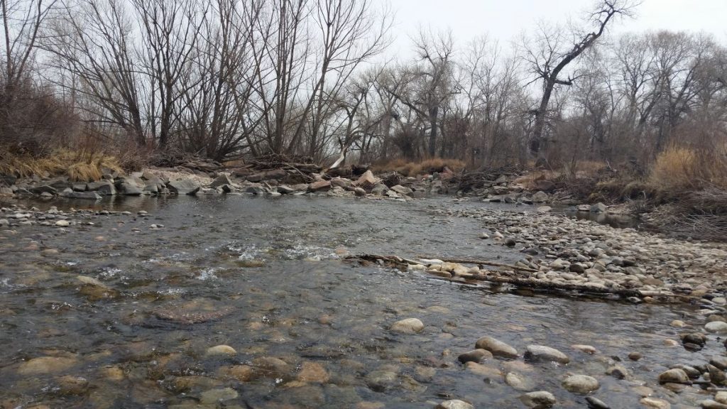A stretch of the Poudre River at the ELC