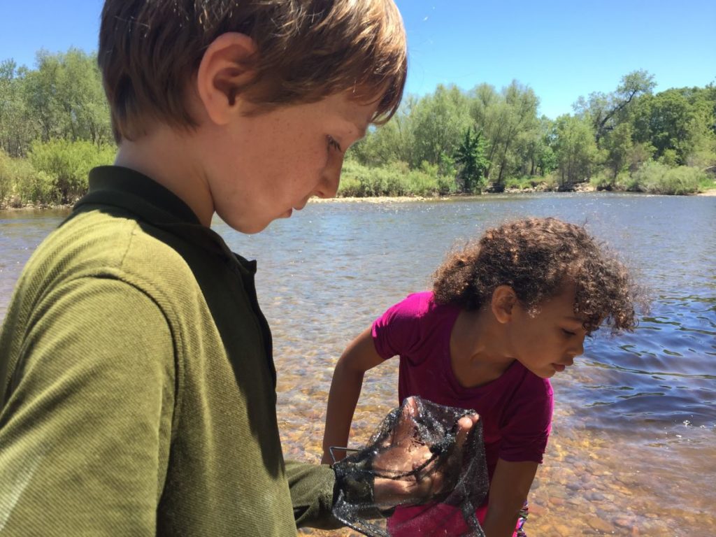 Two children explore the river
