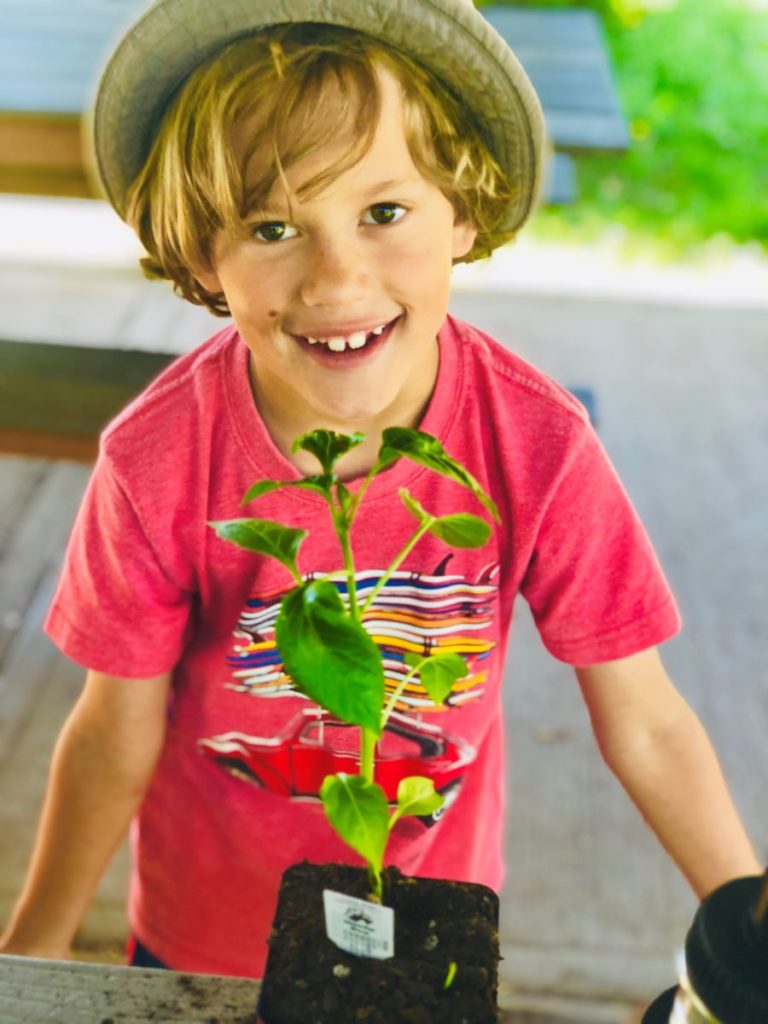 A child with a gardening project
