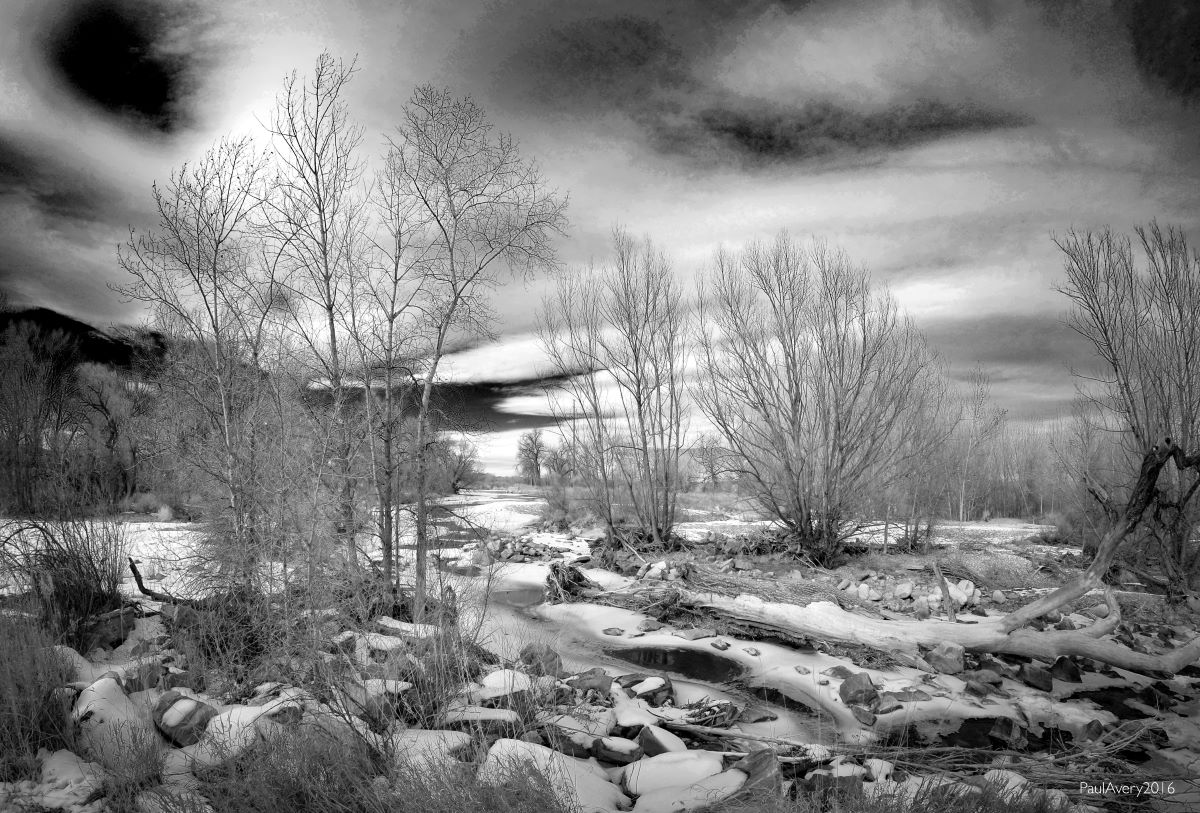 Near the river; Photo courtesy of Paul Avery