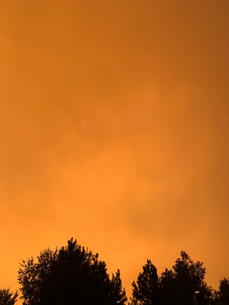 Orange smokey sky above trees