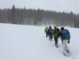 Graduate students trek across a snow bank to study how snow is affected by climate change