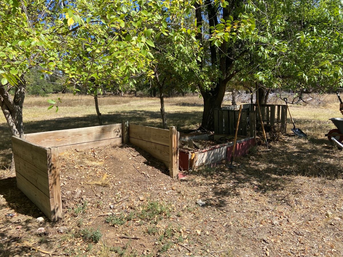 A series of three wooden compost bins are shown with shovels propped up against them. This is the before picture.