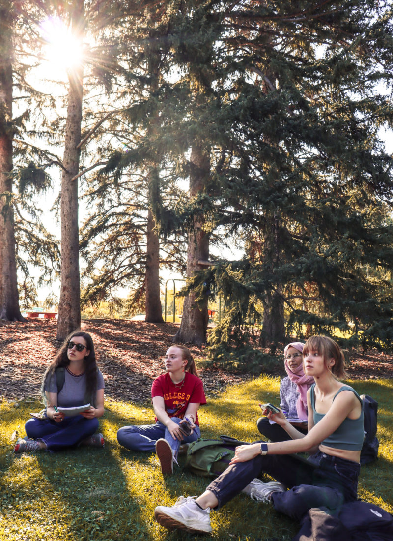 Four Accelerated Master's Program Students listen to an outdoor lecture amongst tall pine trees.