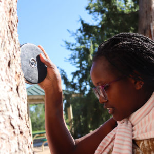 Colorado State University Ecosystem Science and Sustainability Accelerated Master's Program Student Measures trees for carbon accounting.