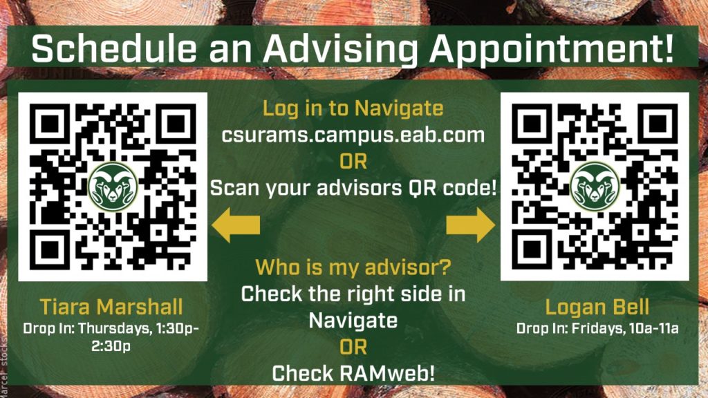 schedule advising appointment