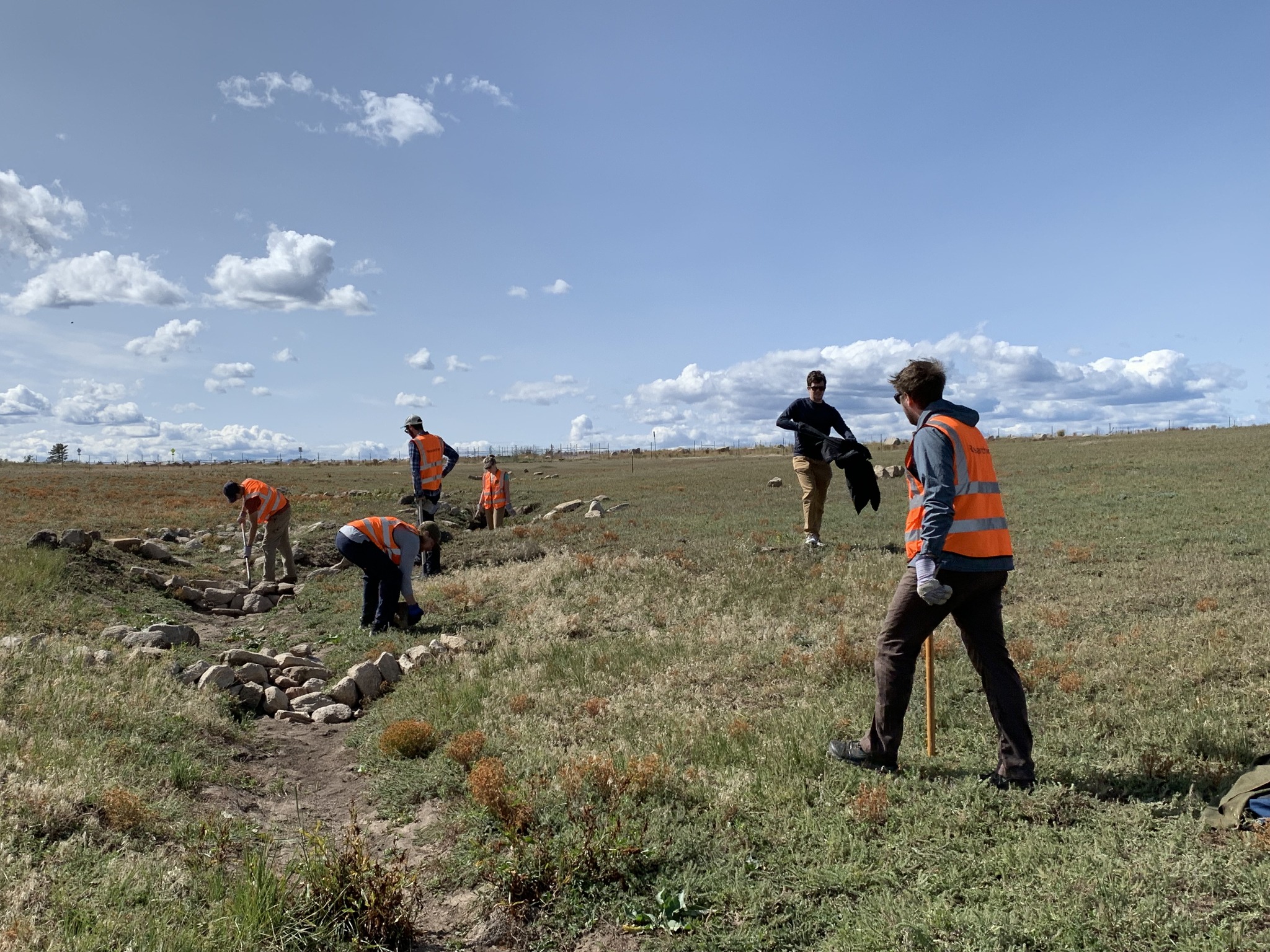 Conservation Leadership students working on a restoration project at a Denver Zoo site.