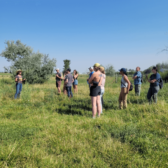 Graduate Students stand in a green field while a woman in a cowboy hat teaches them about regenerative farming.