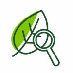 An icon of a leaf with a magnifying glass.