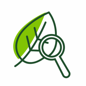An icon of a leaf with a magnifying glass.