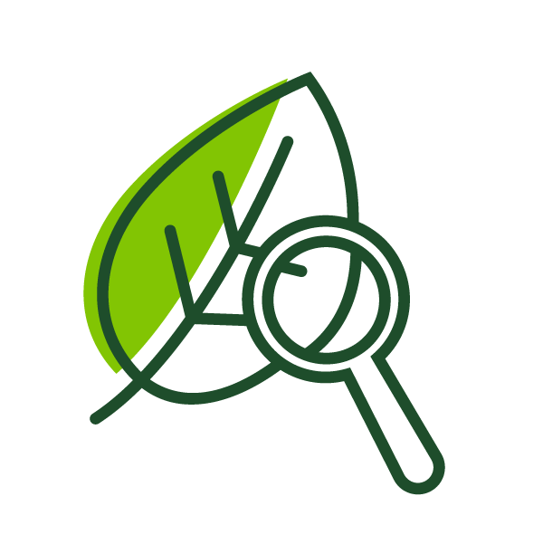 An icon of a leaf with a magnifying glass on top of it.